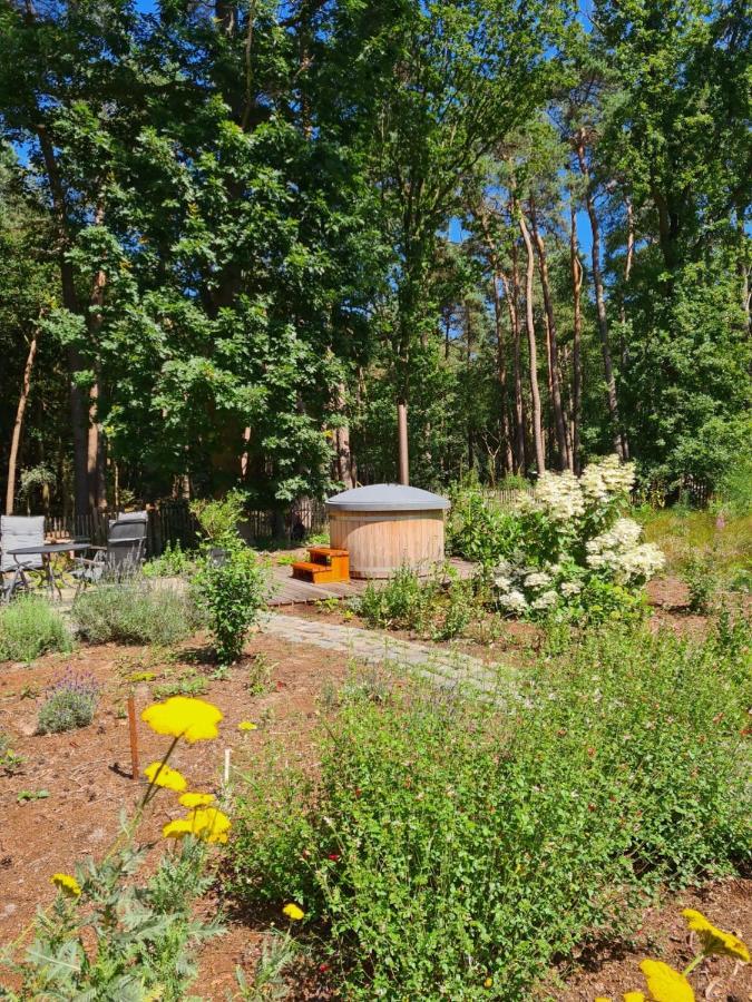 Vakantiehuis Met Hottub En Barrelsauna Ommen Zewnętrze zdjęcie